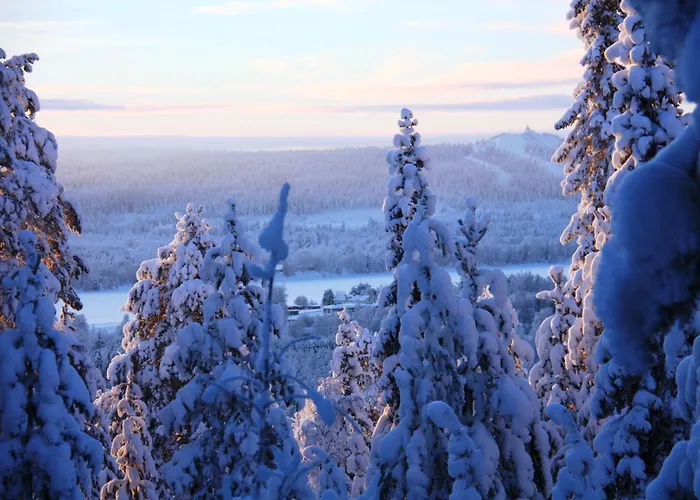 Semesterbostad Log Near Santa